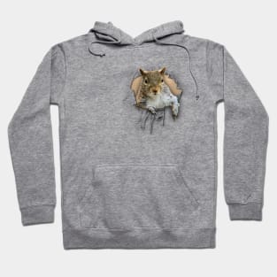 Ripped Shirt Squirrel - funny squirrel lover  Hoodie